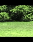 Virgils_Day_Off_mp40093.jpg