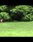Virgils_Day_Off_mp40094.jpg