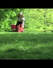 Virgils_Day_Off_mp40101.jpg