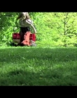 Virgils_Day_Off_mp40104.jpg