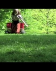 Virgils_Day_Off_mp40105.jpg