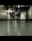 Virgils_Day_Off_mp40587.jpg