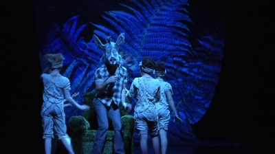 A_MIDSUMMERS_NIGHTS_DREAM_mp41004.jpg
