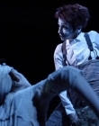 A_MIDSUMMERS_NIGHTS_DREAM_mp40450.jpg