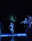 A_MIDSUMMERS_NIGHTS_DREAM_mp40833.jpg
