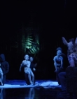 A_MIDSUMMERS_NIGHTS_DREAM_mp40834.jpg