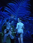A_MIDSUMMERS_NIGHTS_DREAM_mp41005.jpg