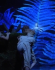 A_MIDSUMMERS_NIGHTS_DREAM_mp41024.jpg