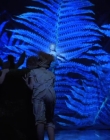 A_MIDSUMMERS_NIGHTS_DREAM_mp41026.jpg