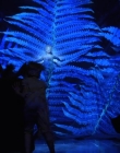 A_MIDSUMMERS_NIGHTS_DREAM_mp41028.jpg