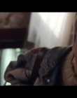 2014_-_The_Lipstick_Stain_mp40036.jpg