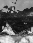 TinyMammals_281729.jpg
