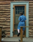 2017_-_Tiny_Mammals_mp41398.jpg