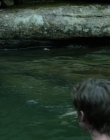 2017_-_Tiny_Mammals_mp41504.jpg