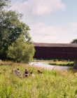 It_Chapter_Two_mp40029.jpg