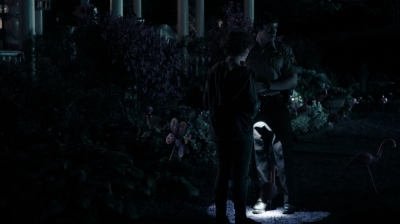 Nancy_Drew_and_the_Hidden_Staircase_mkv2093.jpg