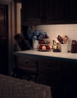 Nancy_Drew_and_the_Hidden_Staircase_mkv2404.jpg