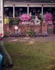 Nancy_Drew_and_the_Hidden_Staircase_mkv5032.jpg