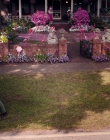 Nancy_Drew_and_the_Hidden_Staircase_mkv5038.jpg