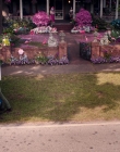 Nancy_Drew_and_the_Hidden_Staircase_mkv5043.jpg