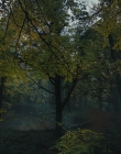 Gretel_and_Hansel_mp40912.jpg