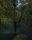 Gretel_and_Hansel_mp40915.jpg