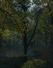 Gretel_and_Hansel_mp40916.jpg