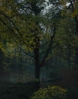 Gretel_and_Hansel_mp40917.jpg