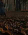 Gretel_and_Hansel_mp41143.jpg