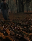 Gretel_and_Hansel_mp41144.jpg
