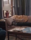The_Adults_mkv1967.jpg